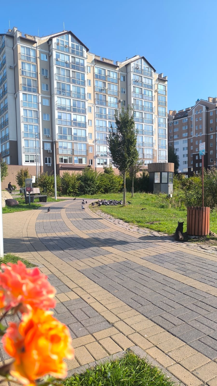 Apartments Baltic style